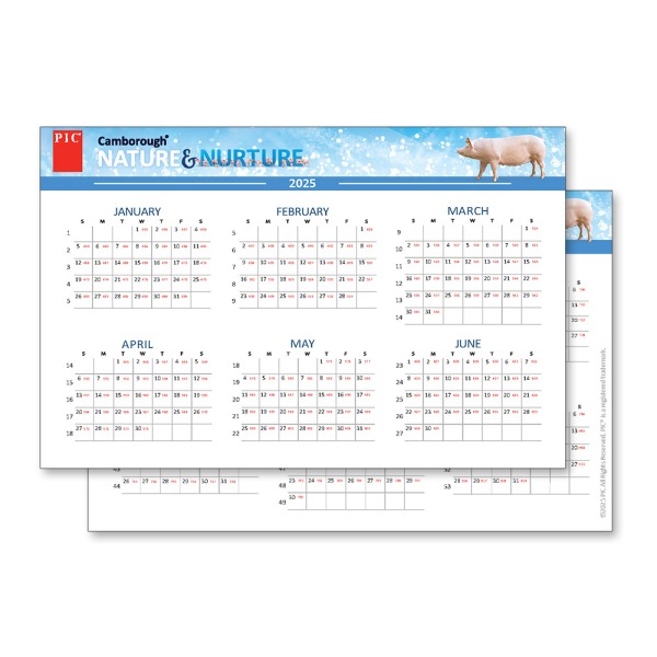 Pocket Calendar 2025
