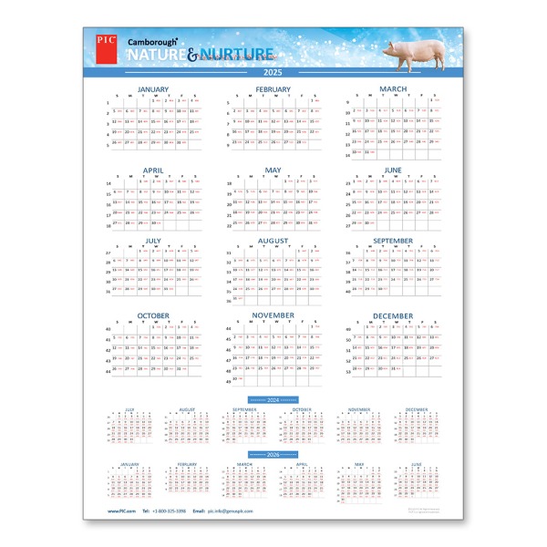 8.5" x 11" Calendar 2025