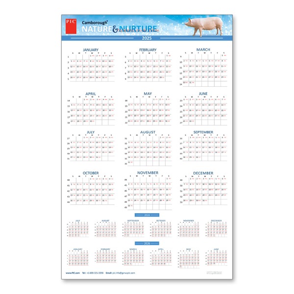 11" x 17" Calendar 2025