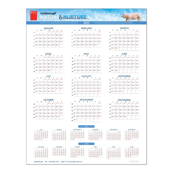 8.5" x 11" Calendar 2025 (Canada)