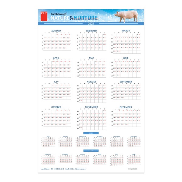 11" x 17" Calendar 2025 (Canada)
